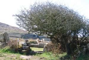 DSC_1250