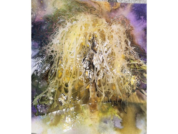 Weeping willow watercolour by Ann Blockley