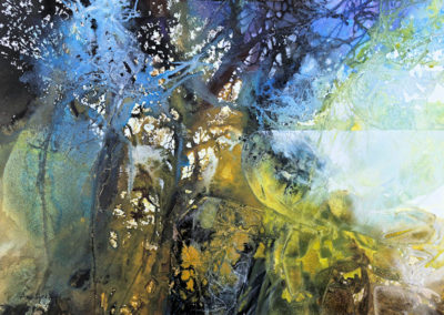 Between woods and water