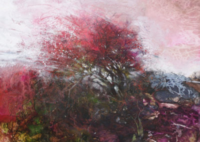 Moorland hawthorn