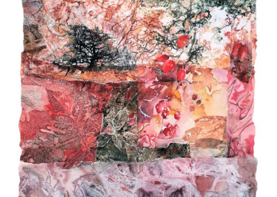 Patchwork through the rosehip hedge