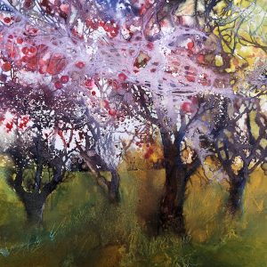 Apple orchard