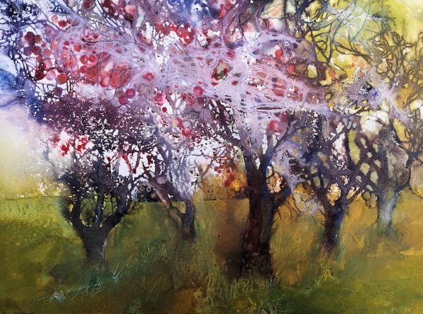 Apple orchard