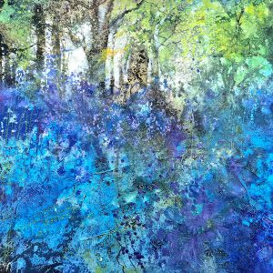 Bluebell time