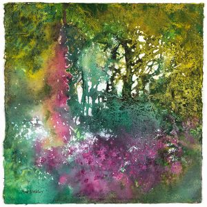 Dreaming of foxgloves