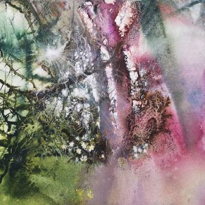 Hazy woodland sunbeams