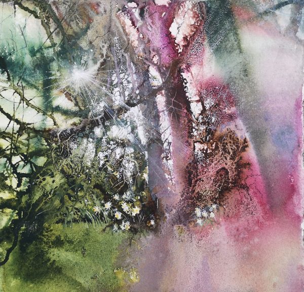Hazy woodland sunbeams