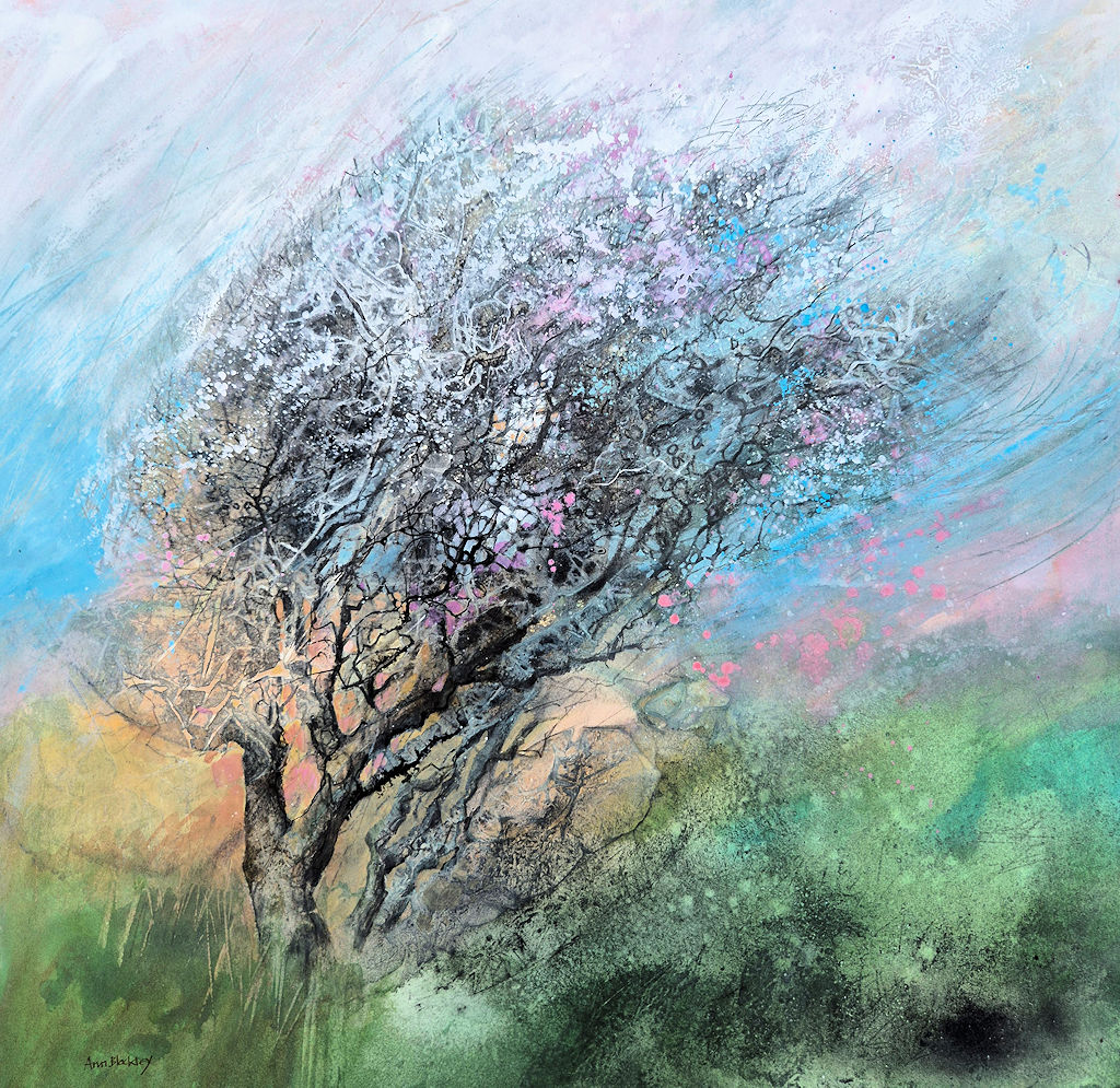 Misty moorland hawthorn