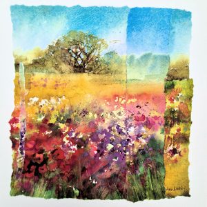 Patchwork poppy field