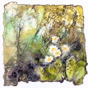 Primrose collage