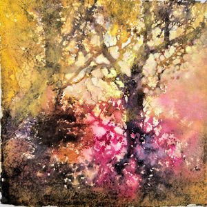 Rose tinted wood