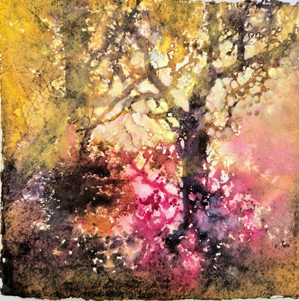 Rose tinted wood
