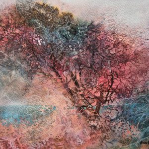 Sundown hawthorn
