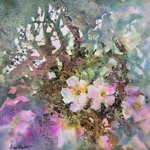 Wild roses