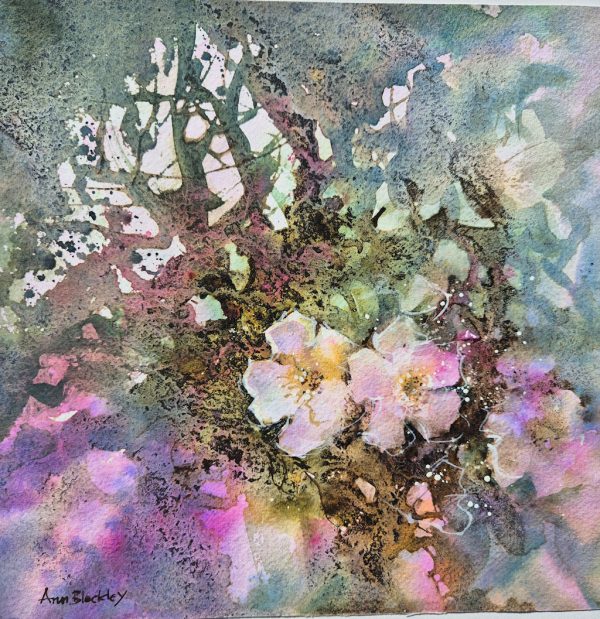 Wild roses