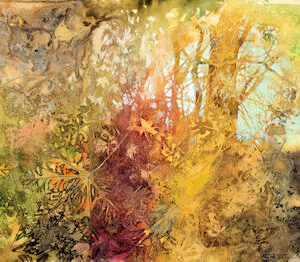 2 Day Watercolour Workshop September 14-15   2026